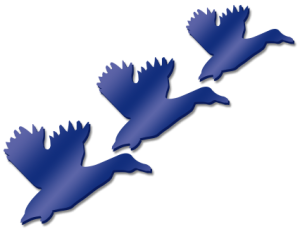 Duck Set of 3 Clr Acrylic